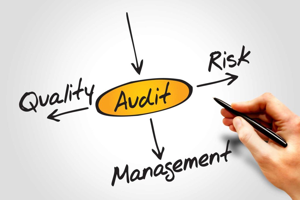 BSC Group Audit Risk Management