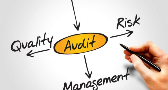 BSC Group Audit Risk Management
